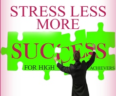 Stress Less More success logo image for High Achievers